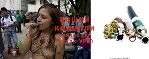 стаф Бронницы
