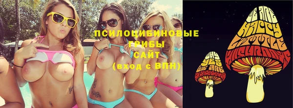 стаф Бронницы