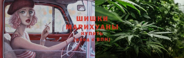 стаф Бронницы